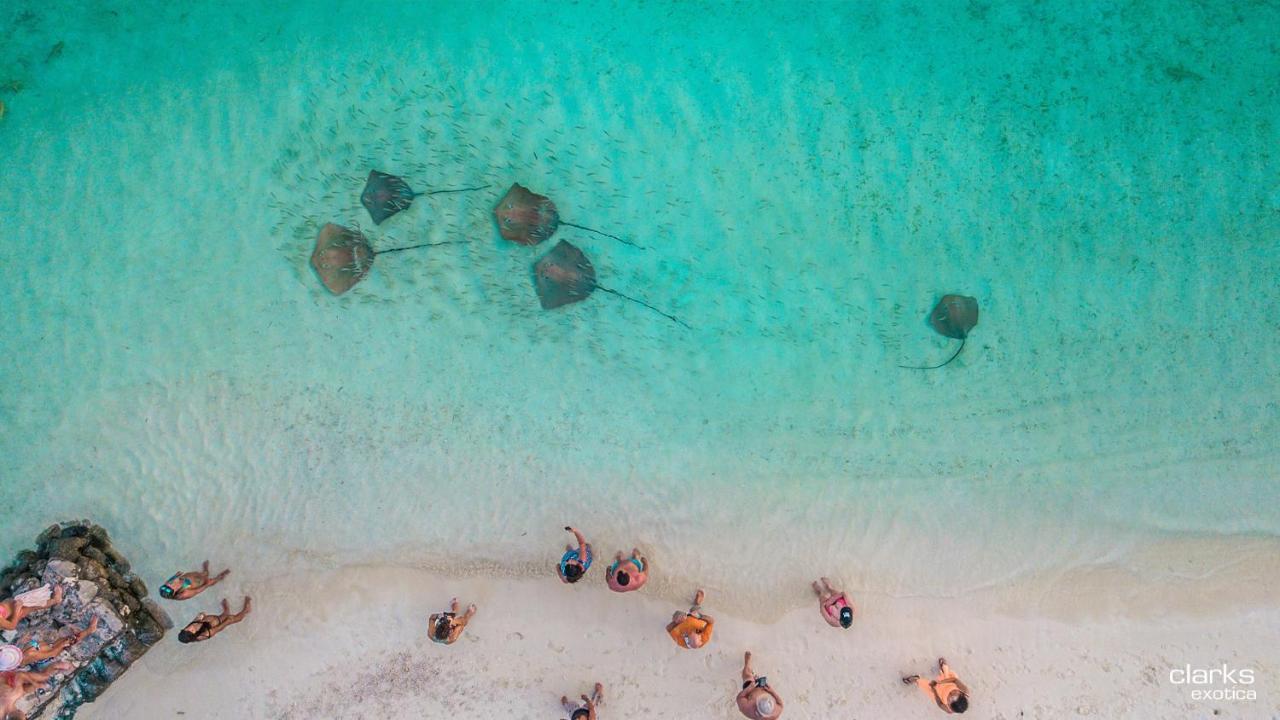 Swarn By Hawks Hotels Kamadhoo Bagian luar foto